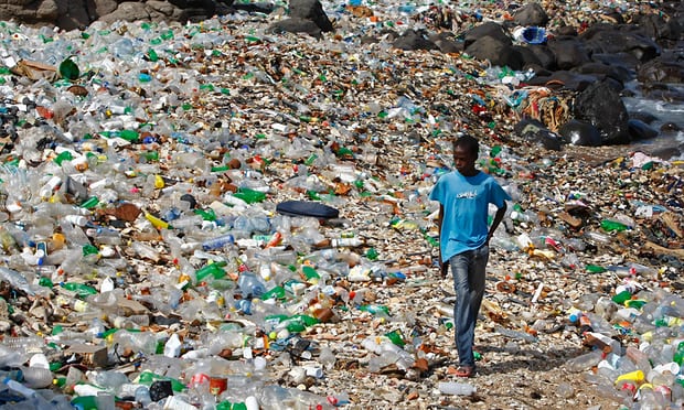 Yeşil Gelecek için Biyoplastik: Gıda Atıklarından Sıfır Atık Üretimi