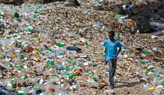 Yeşil Gelecek için Biyoplastik: Gıda Atıklarından Sıfır Atık Üretimi